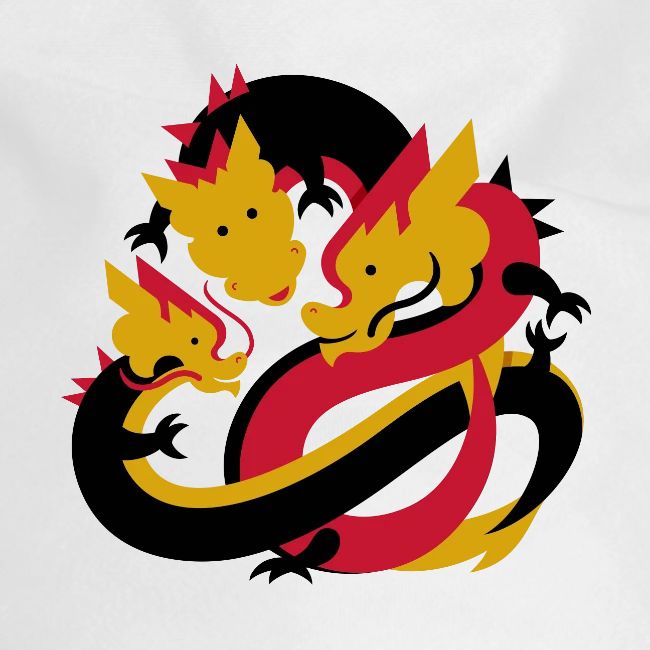 CAIS Core Value Dragons - Inclusion