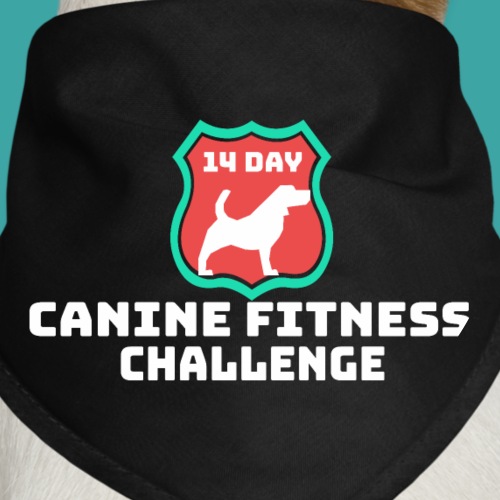 Canine Fitness Challenge Front - Dog Bandana