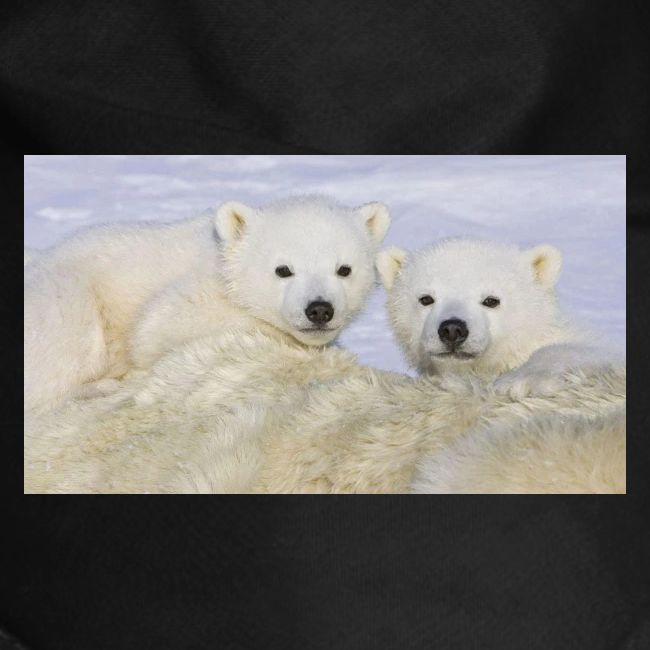 polarbears