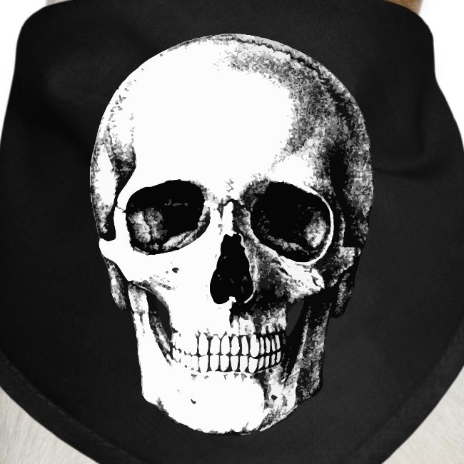 Human Skull