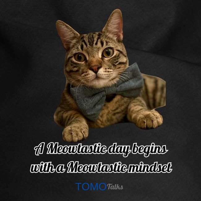 Meowtastic Mindset