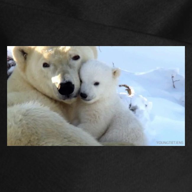 polarbearhug
