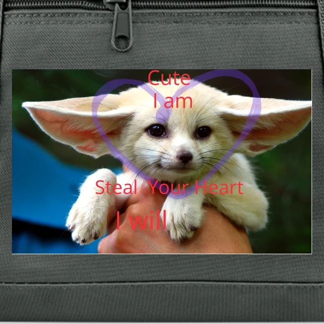 baby fox