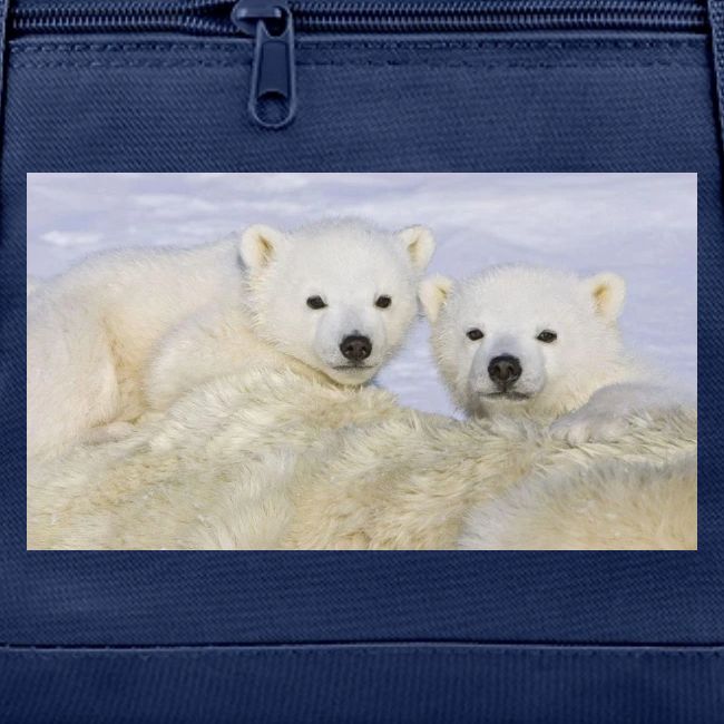 polarbears