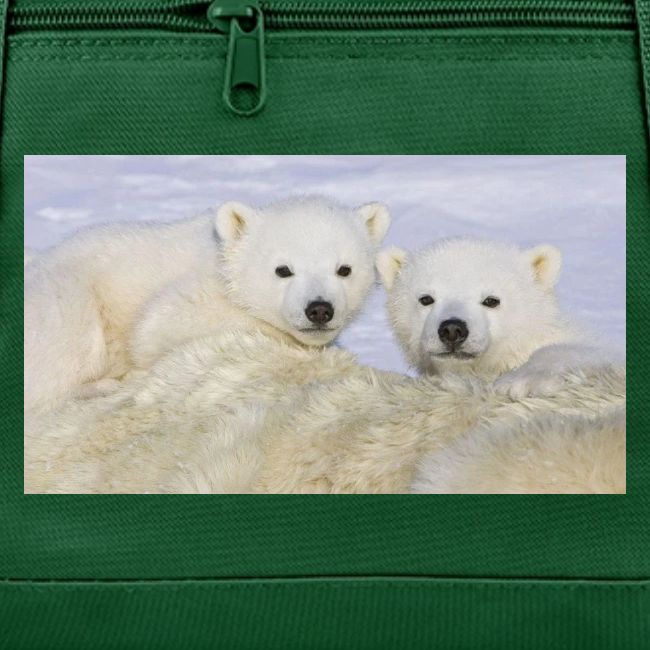 polarbears