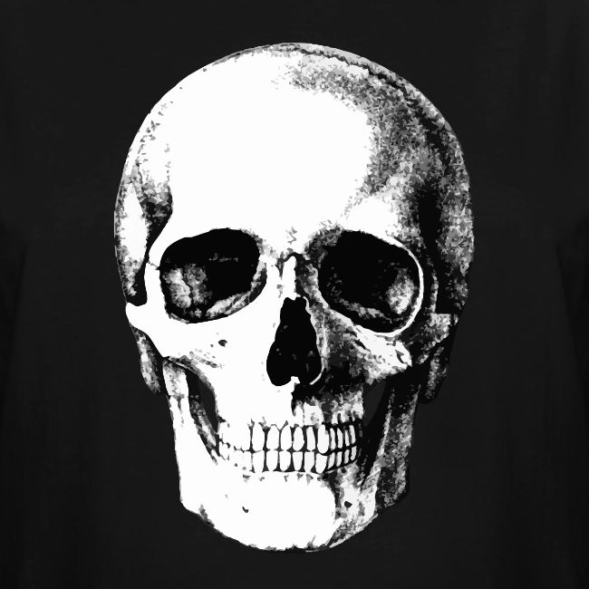 Human Skull