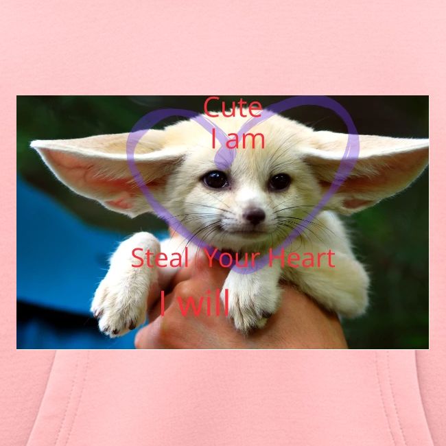baby fox