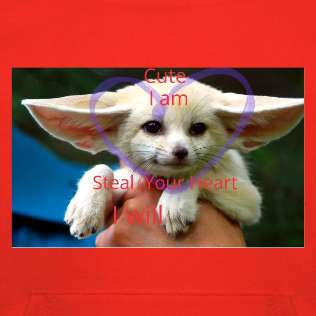 baby fox