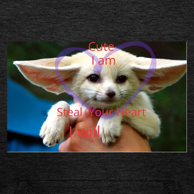 baby fox