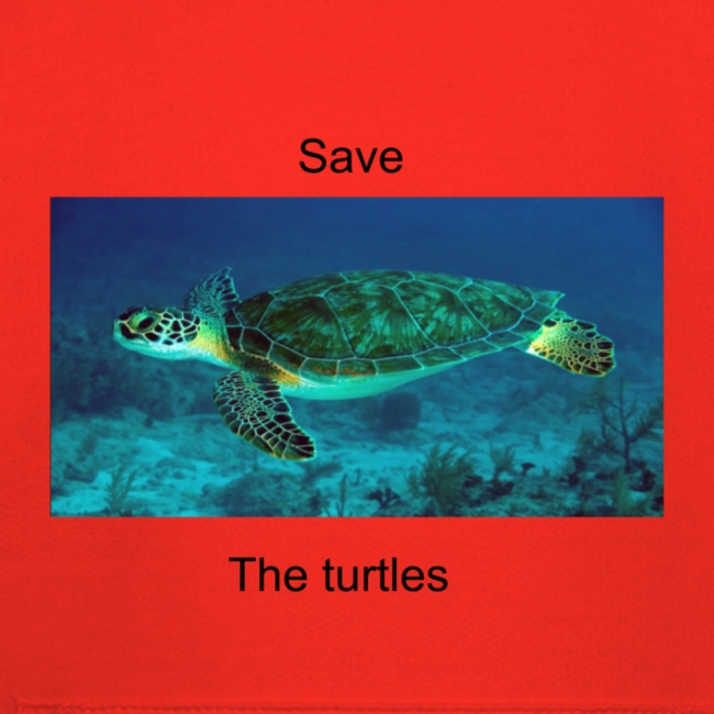 Turtle shirt