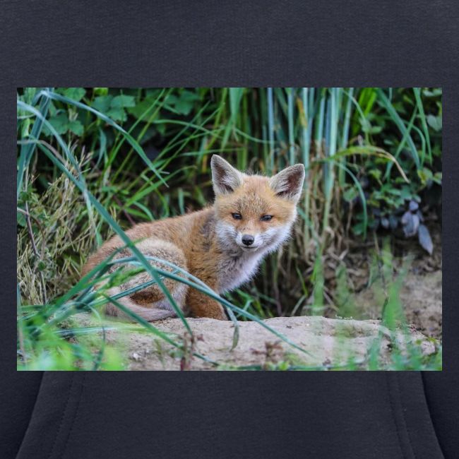 fox