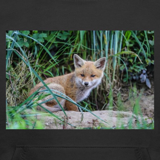 fox