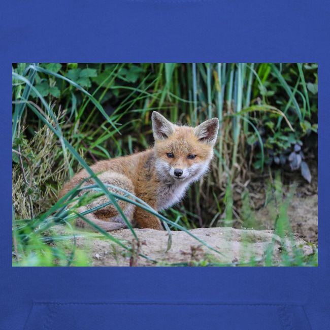 fox