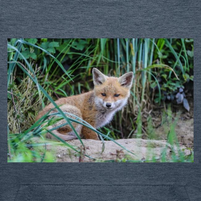 fox