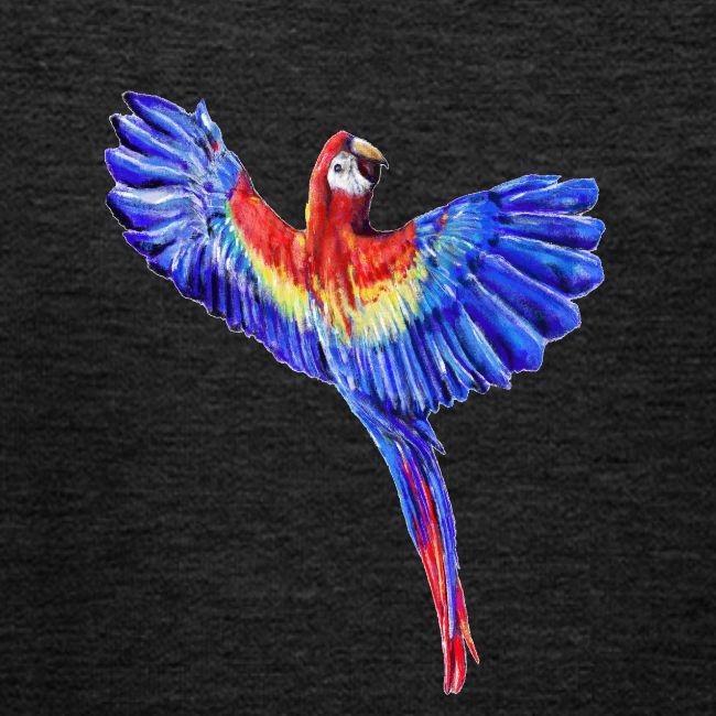 Scarlet macaw parrot