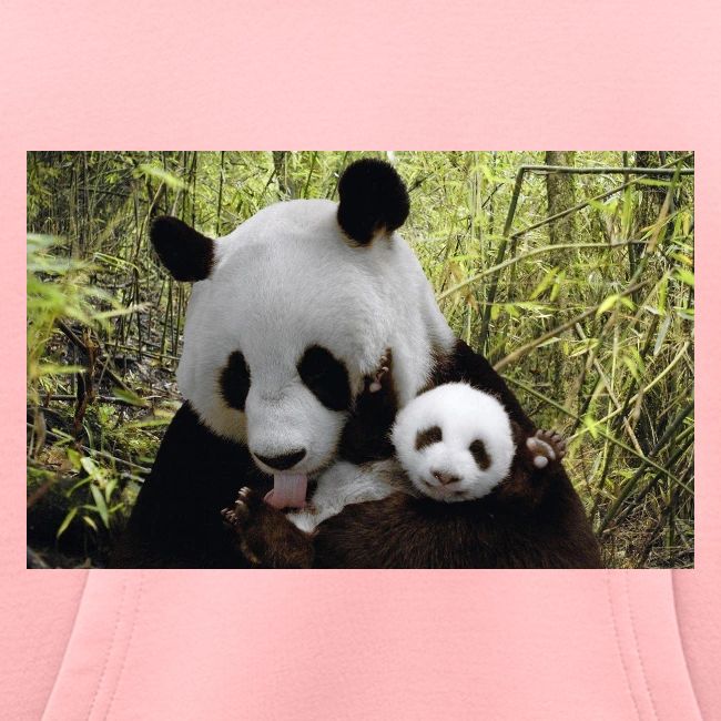 panda