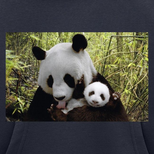 panda
