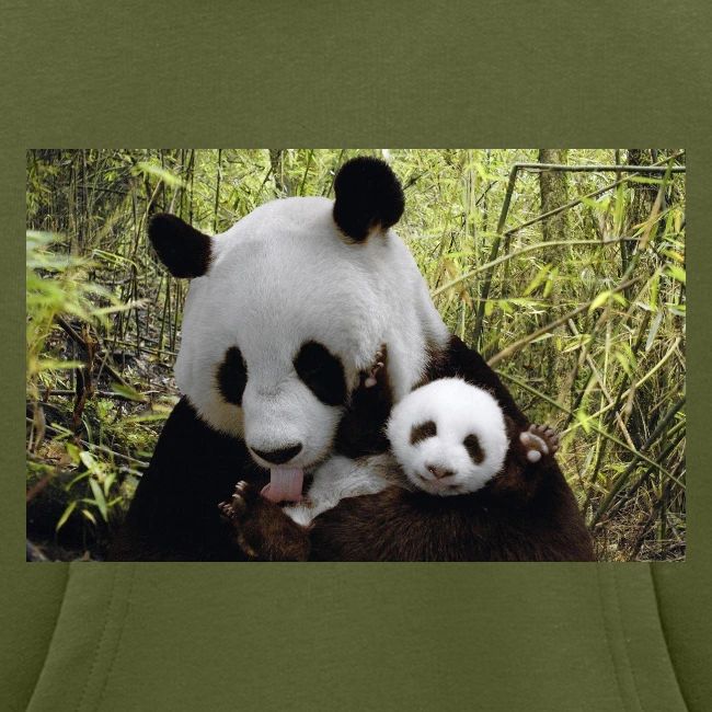 panda