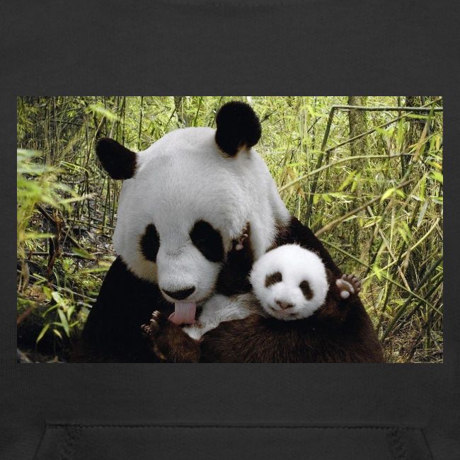 panda