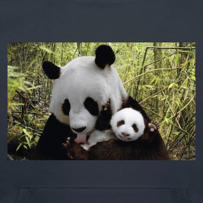 panda