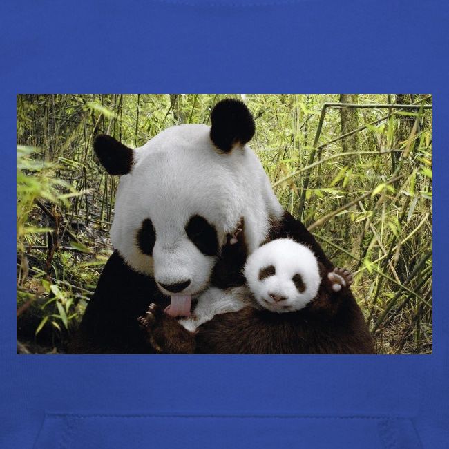 panda
