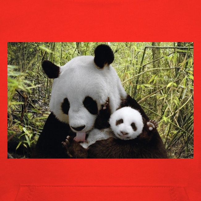 panda