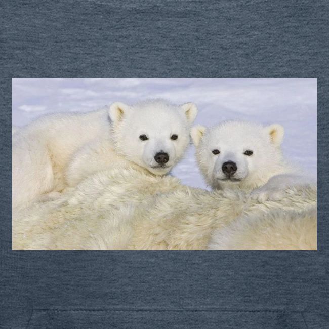 polarbears