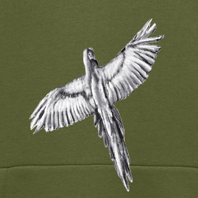 Flying parrot