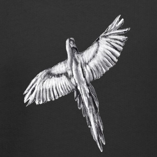 Flying parrot