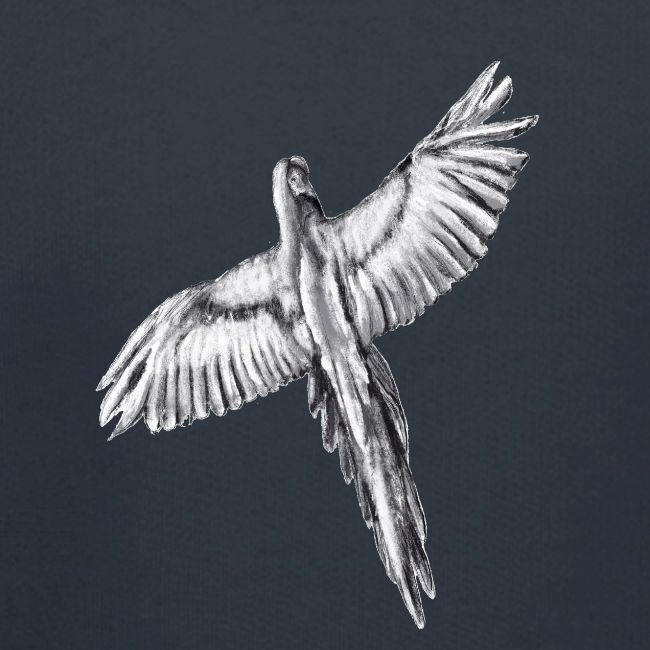 Flying parrot