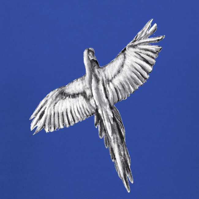 Flying parrot