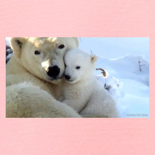 polarbearhug