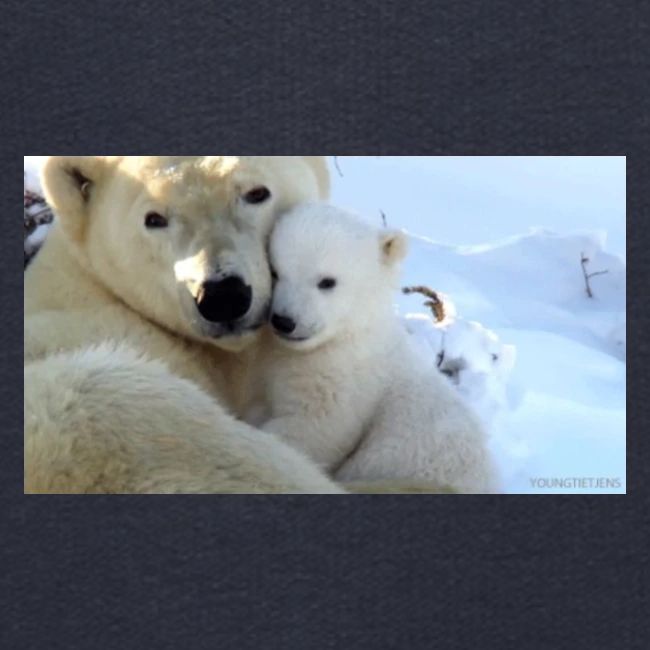 polarbearhug