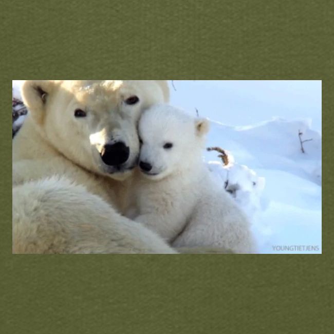 polarbearhug