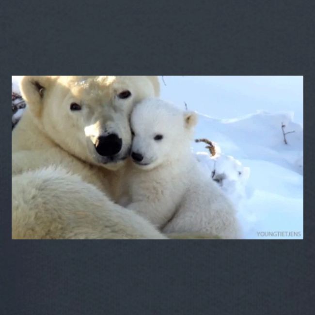 polarbearhug