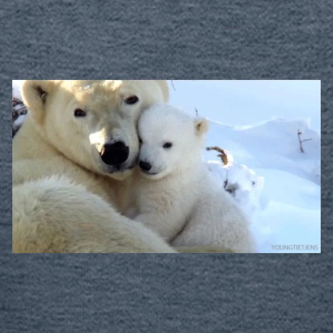 polarbearhug