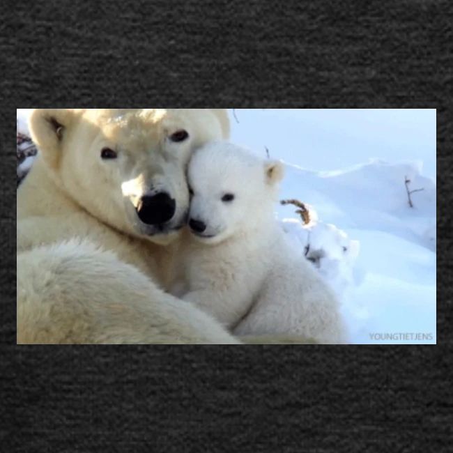 polarbearhug