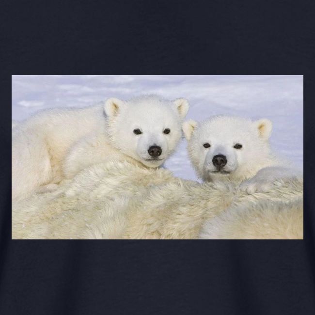 polarbears