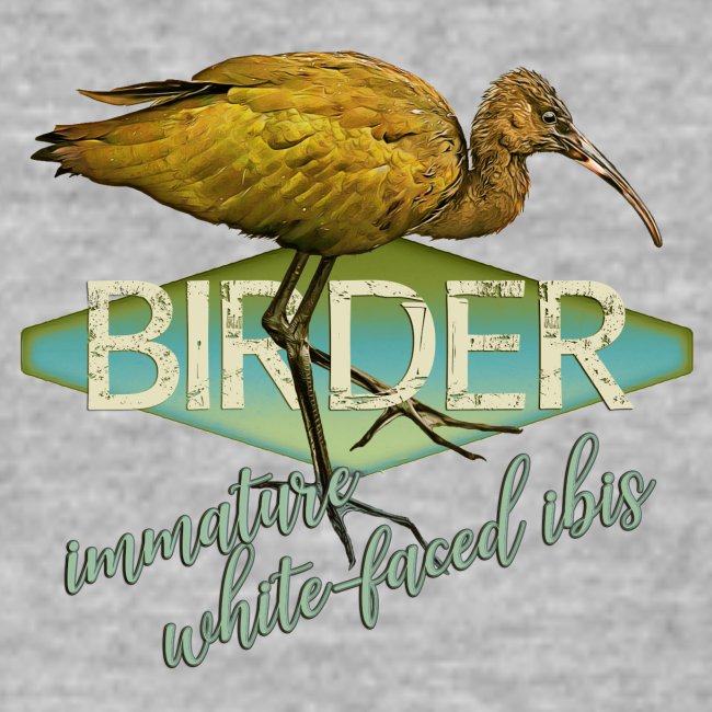 BIRDER - White-faced ibis - Carolyn Sandstrom