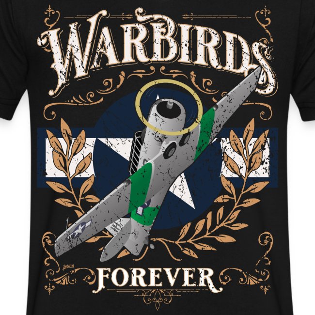Vintage Warbirds Forever Classic WWII Aircraft