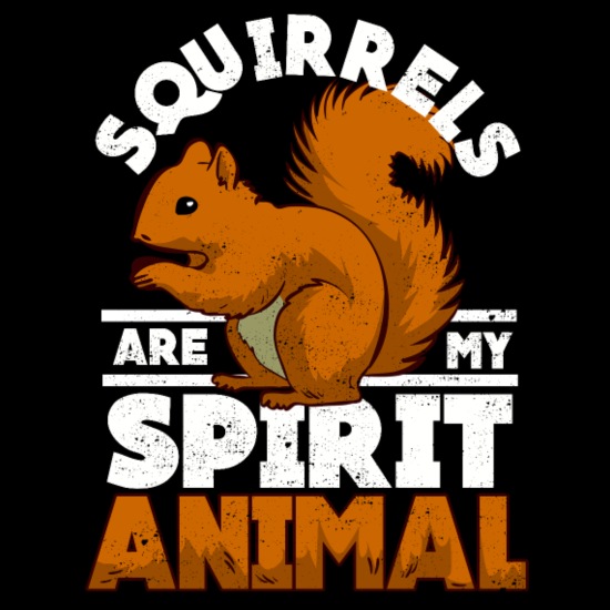 Squirrel Spirit Animal Rescue Go Nuts Gift' Men's V-Neck T-Shirt |  Spreadshirt
