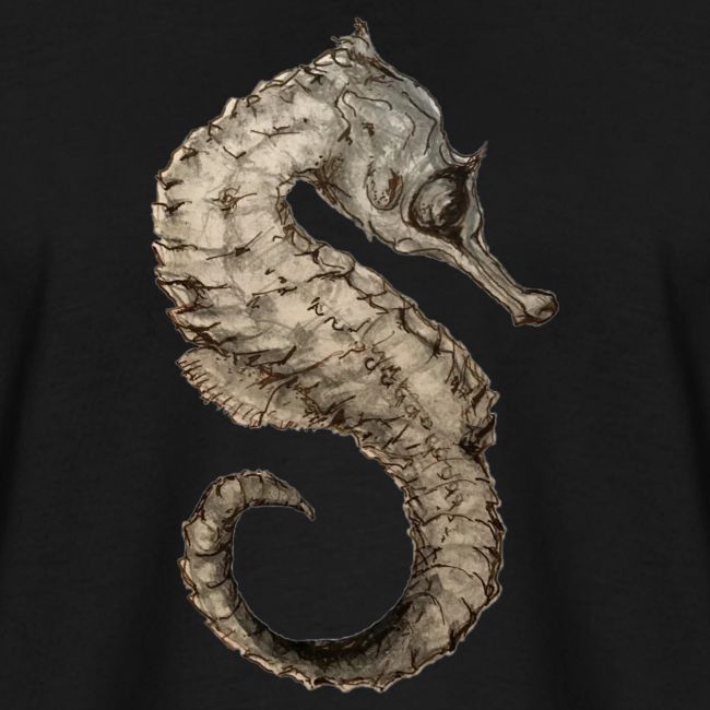 seahorse sea horse