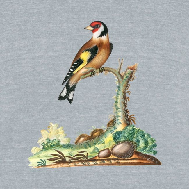 European goldfinch