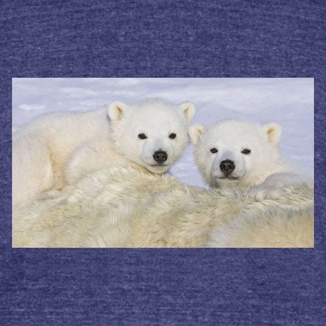 polarbears