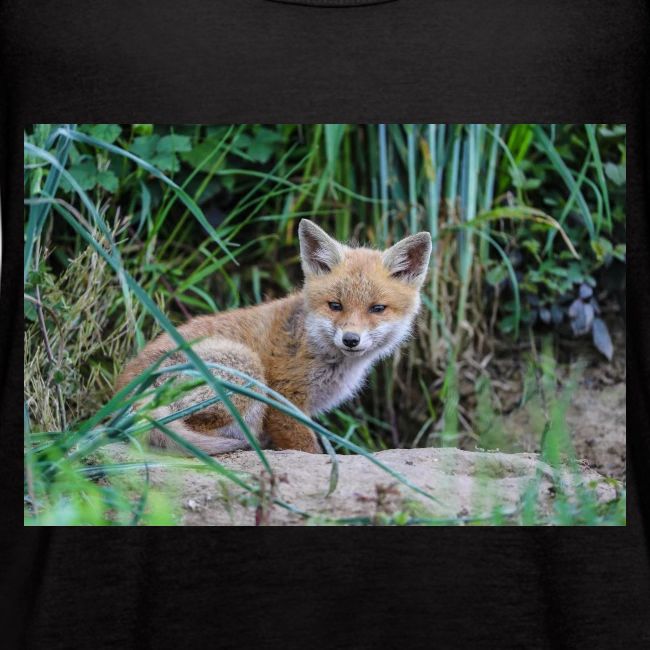 fox