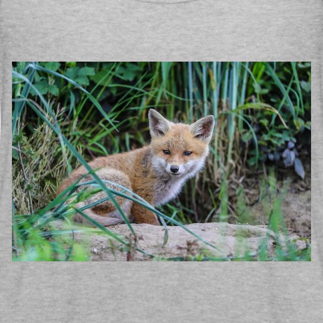 fox