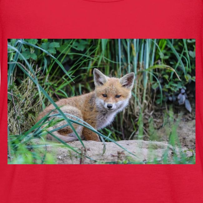 fox
