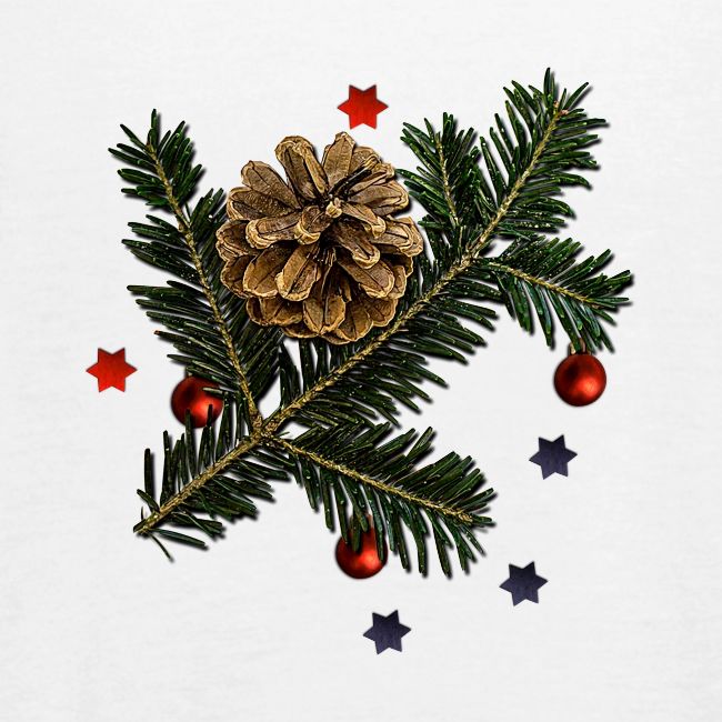 Christmas bare branch