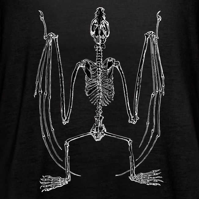 Bat Skeleton