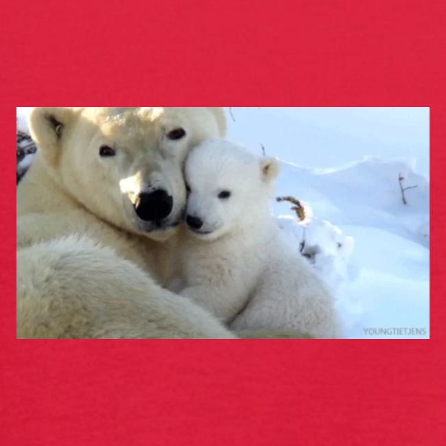 polarbearhug